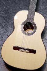 Juan Hernandez 【特典有】Samba Enhance 【エレガット】【48mmナット幅】【2025年製・現物写真】【池袋店在庫品】