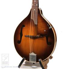 フラットマンドリン、中古の検索結果1～50件【楽器検索｜Jギター】