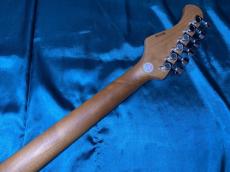 Bacchus BTE-1DX RSM/M OWH_11