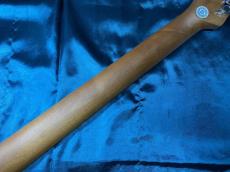 Bacchus BTE-1DX RSM/M OWH_13