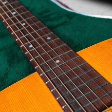 Martin 1969 000-18_6