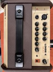 FISHMAN LOUDBOX Micro【40W】_5