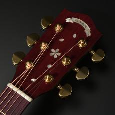 Headway Japan Tune-up HOC-SAKURA/JS SPK-GRD (Sakura Pink Gradation) -桜-_9