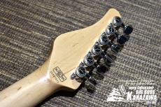 SCHECTER BH-1-STD-24F【豪華スペック万能モデル!】_4