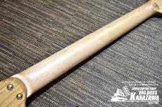 SCHECTER BH-1-STD-24F【豪華スペック万能モデル!】_5