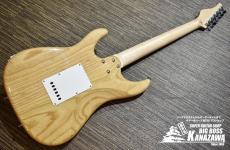 SCHECTER BH-1-STD-24F【豪華スペック万能モデル!】_6