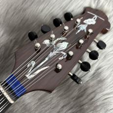 CALACE No.16bis/杉/Topセラック【Calace】【 マンドリン】_3