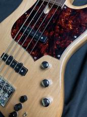 dragonfly CL-DJB5 ALD/PAU