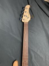 dragonfly CL-DJB5 ALD/PAU_4