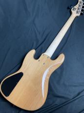 dragonfly CL-DJB5 ALD/PAU_5