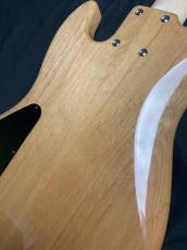 dragonfly CL-DJB5 ALD/PAU_6