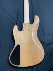 dragonfly CL-DJB5 ALD/PAU_7