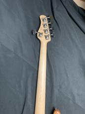 dragonfly CL-DJB5 ALD/PAU_8