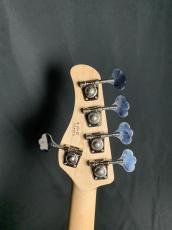 dragonfly CL-DJB5 ALD/PAU_10