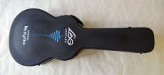 LAG Guitars THV30ACE_17