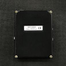 Carl Martin NOISE TERMINATOR_3