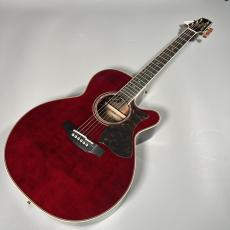 Takamine DMP50S_2