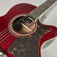 Takamine DMP50S_3