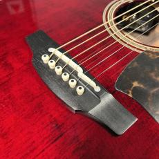 Takamine DMP50S_4