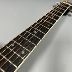 Takamine DMP50S_5