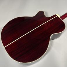 Takamine DMP50S_7