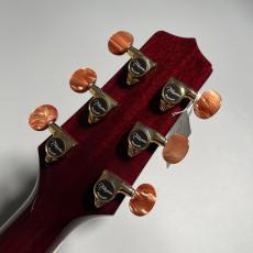 Takamine DMP50S_8