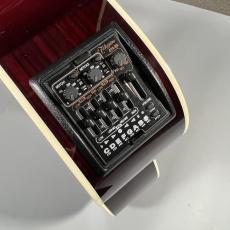 Takamine DMP50S_9