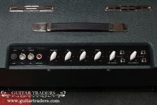 Park 2010's PTM 50 NOS & P 4x12 LTD_6