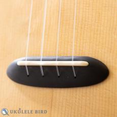 Koichitani Concert LongNeck Spruce/Koa_3