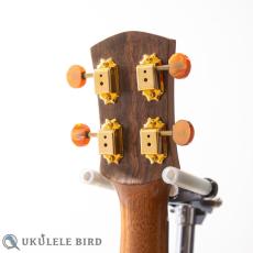 Koichitani Concert LongNeck Spruce/Koa_7