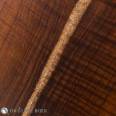 Koichitani Concert LongNeck Spruce/Koa_10