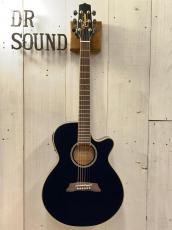 Takamine 『オーダー受付中』TSP138C ~New Deep Dark Blue~【無金利分割OK】【送料は当社負担】_2