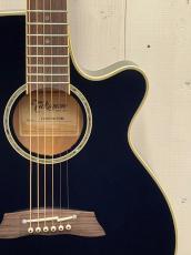 Takamine 『オーダー受付中』TSP138C ~New Deep Dark Blue~【無金利分割OK】【送料は当社負担】_3