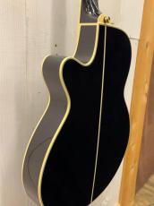 Takamine 『オーダー受付中』TSP138C ~New Deep Dark Blue~【無金利分割OK】【送料は当社負担】_9