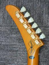 Epiphone 1958 Korina Explorer_7