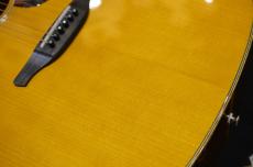 VG VG-03 Mahogany VN_9