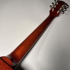 Epiphone Kirk Hammett Greeny 1959 Les Paul Standard _9