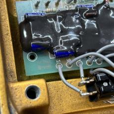 KLON Centaur Gold Short Tail_9