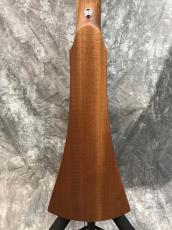 Martin BACK PACKER GTR_7