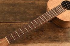 Martin Tenor T1K UKE_5