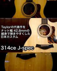 Taylor 【個体演奏動画あり】314ce J-Spec  S/N  1212184035【ナット幅42.8mm】