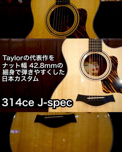 Taylor 【個体演奏動画あり】314ce J-Spec  S/N  1212184035【ナット幅42.8mm】
