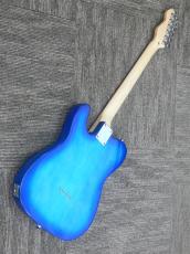 Photogenic TL-180 SBL エントリーセット 西日本限定カラー_2