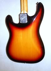 Fender STRATOCASTER_7