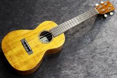 ILIKAI  IL-CON-4KGG 個体番号7【奇跡的激虎バック】 【池袋店在庫品】_2