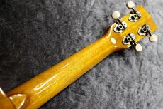 ILIKAI  IL-CON-4KGG 個体番号7【奇跡的激虎バック】 【池袋店在庫品】_9