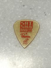 Provision SHISHAMO 宮崎朝子 シグネチャーピック×10枚