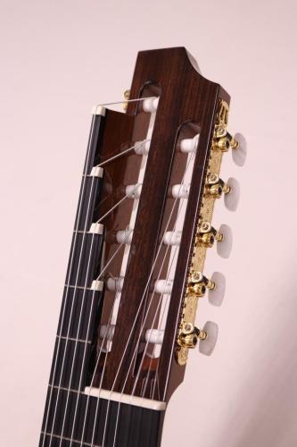 ASTURIAS アストリアス 11弦ギター　杉/ローズウッド