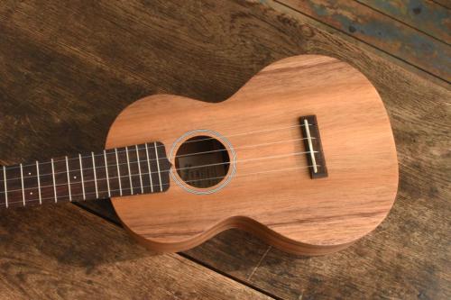 Martin Concert C1K