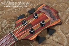 Carl Thompson 2010's Rainbow Bass_4